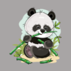 10388292 0 1 - Kung Fu Panda Merch